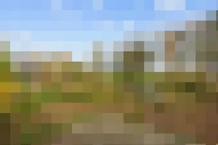 Provincialeweg 7 Adorp thumbnail 53