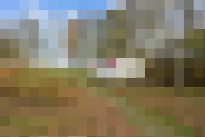 Provincialeweg 7 Adorp thumbnail 54