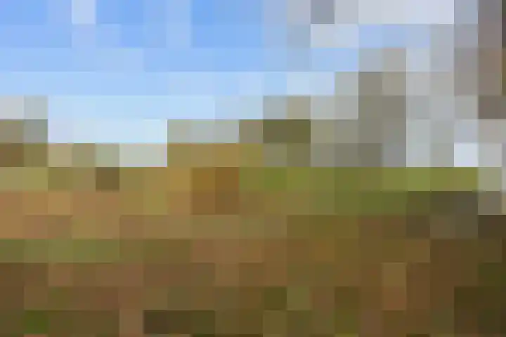 Provincialeweg 7 Adorp thumbnail 55