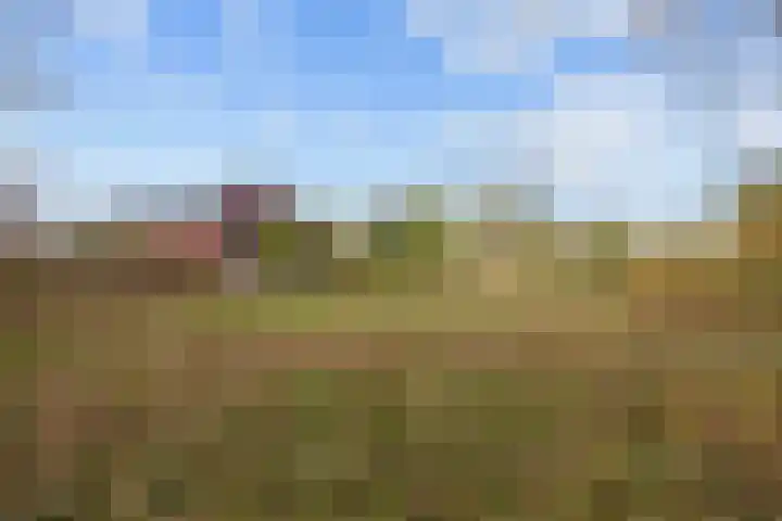 Provincialeweg 7 Adorp thumbnail 56
