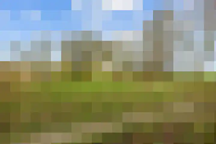 Provincialeweg 7 Adorp thumbnail 57