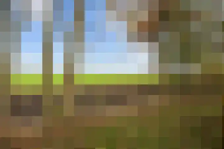 Provincialeweg 7 Adorp thumbnail 58