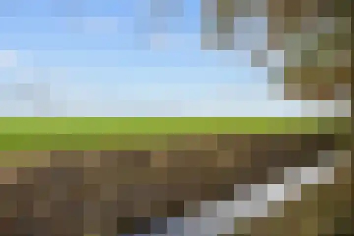 Provincialeweg 7 Adorp thumbnail 59