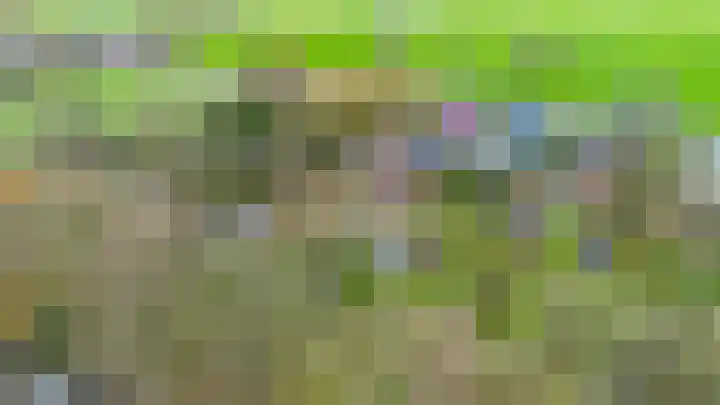 Provincialeweg 7 Adorp thumbnail 6