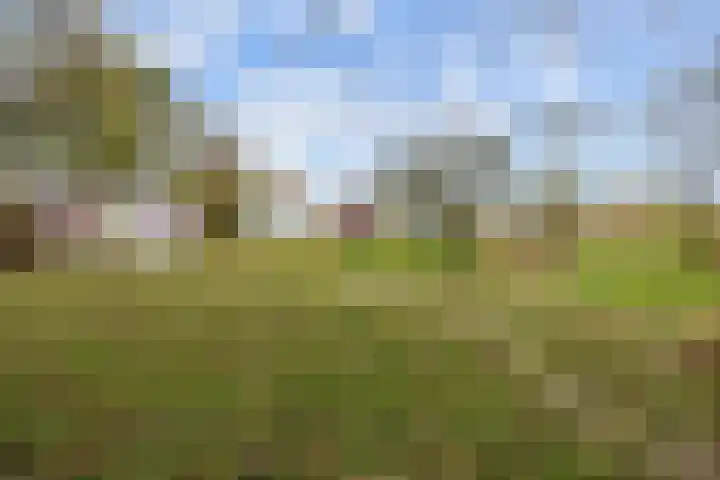 Provincialeweg 7 Adorp thumbnail 60