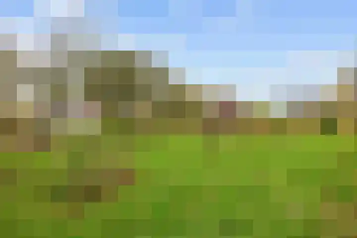 Provincialeweg 7 Adorp thumbnail 61