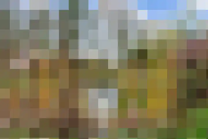 Provincialeweg 7 Adorp thumbnail 63