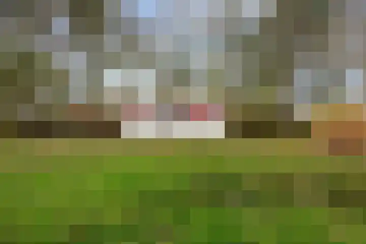 Provincialeweg 7 Adorp thumbnail 64