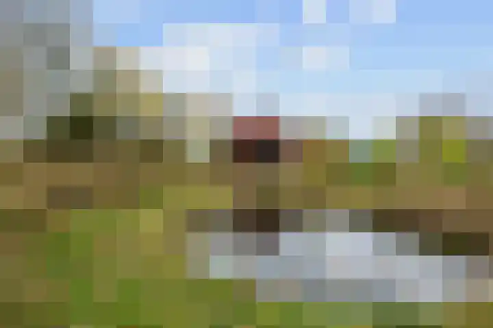 Provincialeweg 7 Adorp thumbnail 65