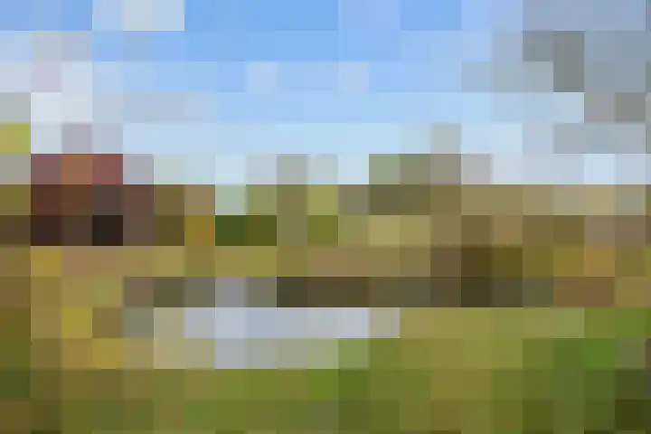 Provincialeweg 7 Adorp thumbnail 66