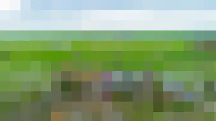 Provincialeweg 7 Adorp thumbnail 7