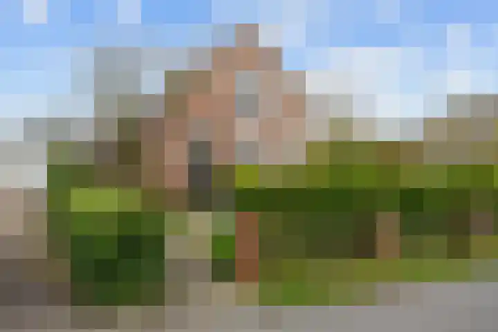 Provincialeweg 7 Adorp thumbnail 8