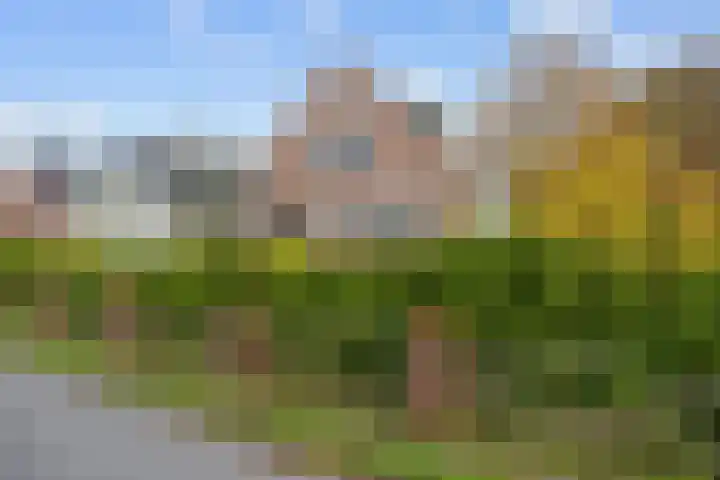 Provincialeweg 7 Adorp thumbnail 9