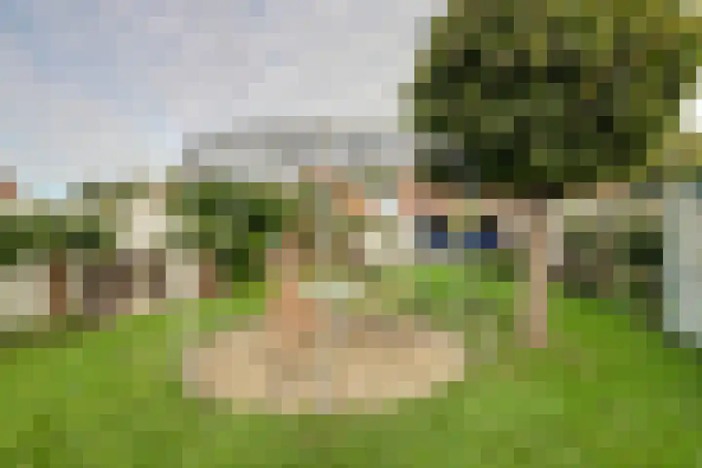 Provincialeweg 7 Geersdijk thumbnail 44