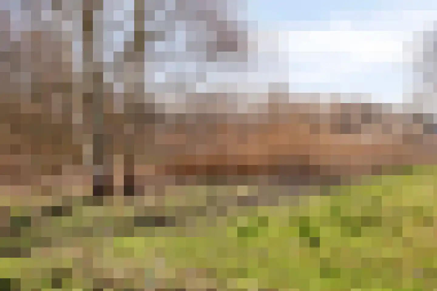 Provincialeweg 7 Westerhoven thumbnail 53