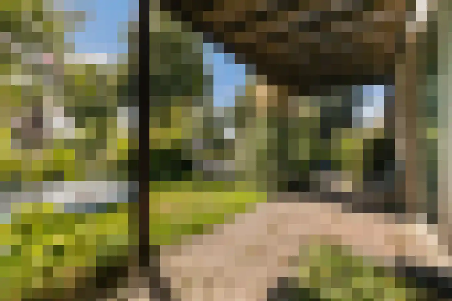 Provincialeweg 70 Bunnik thumbnail 41