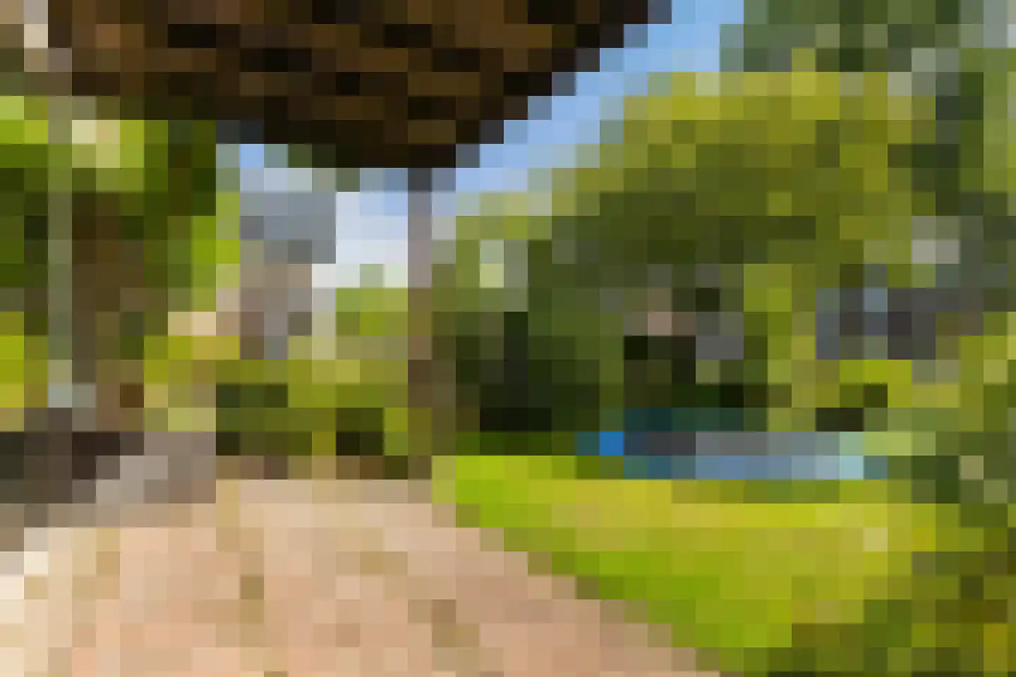 Provincialeweg 70 Bunnik thumbnail 42