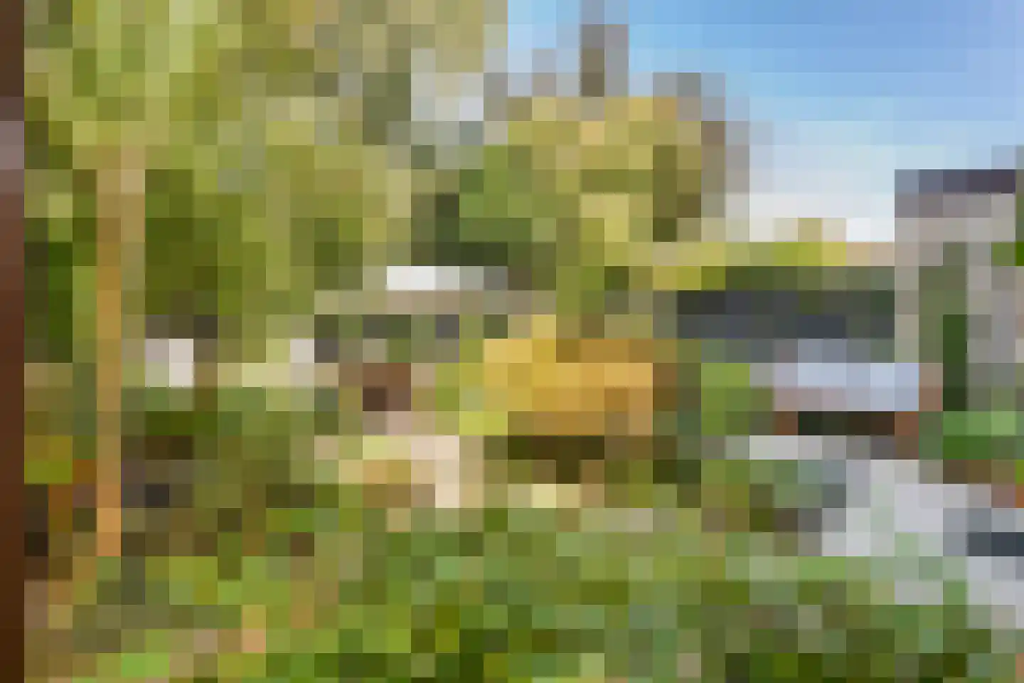 Provincialeweg 70 Bunnik thumbnail 49