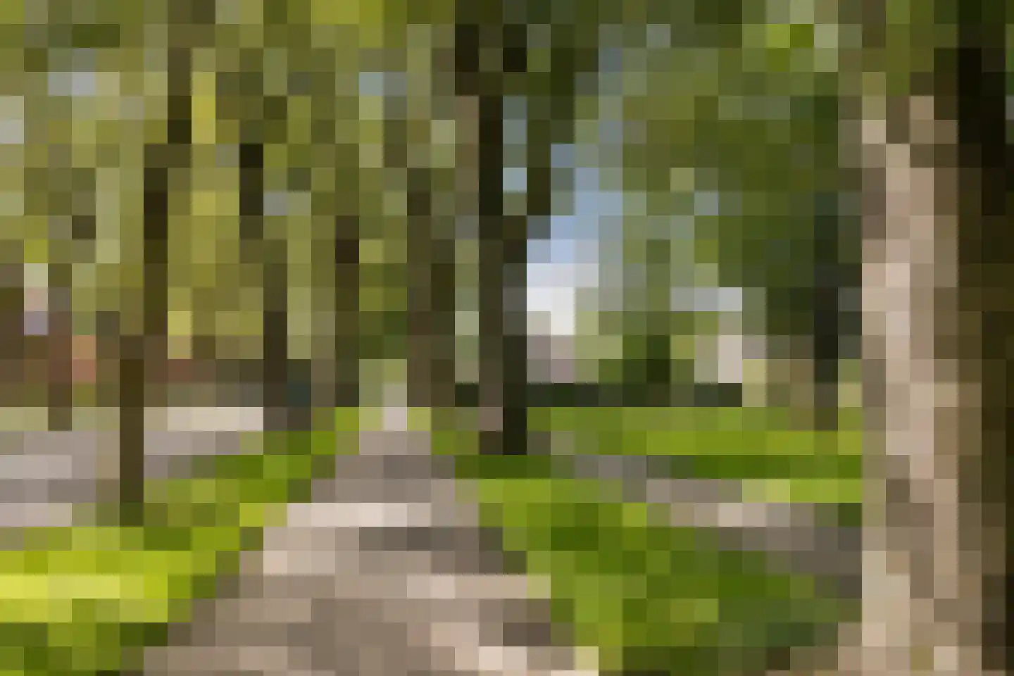Provincialeweg 70 Bunnik thumbnail 85