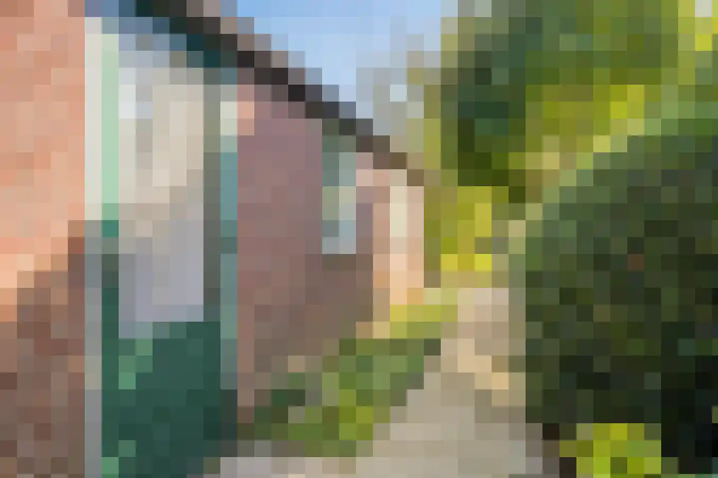 Provincialeweg 72 Oosteind thumbnail 25
