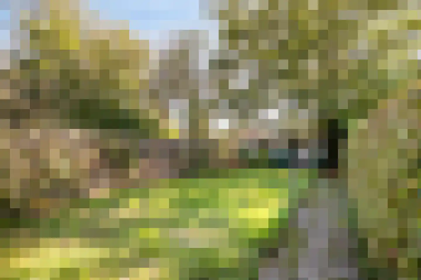 Provincialeweg 72 Oosteind thumbnail 28