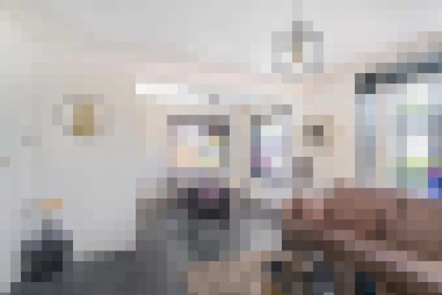 Provincialeweg 73 Doezum thumbnail 6