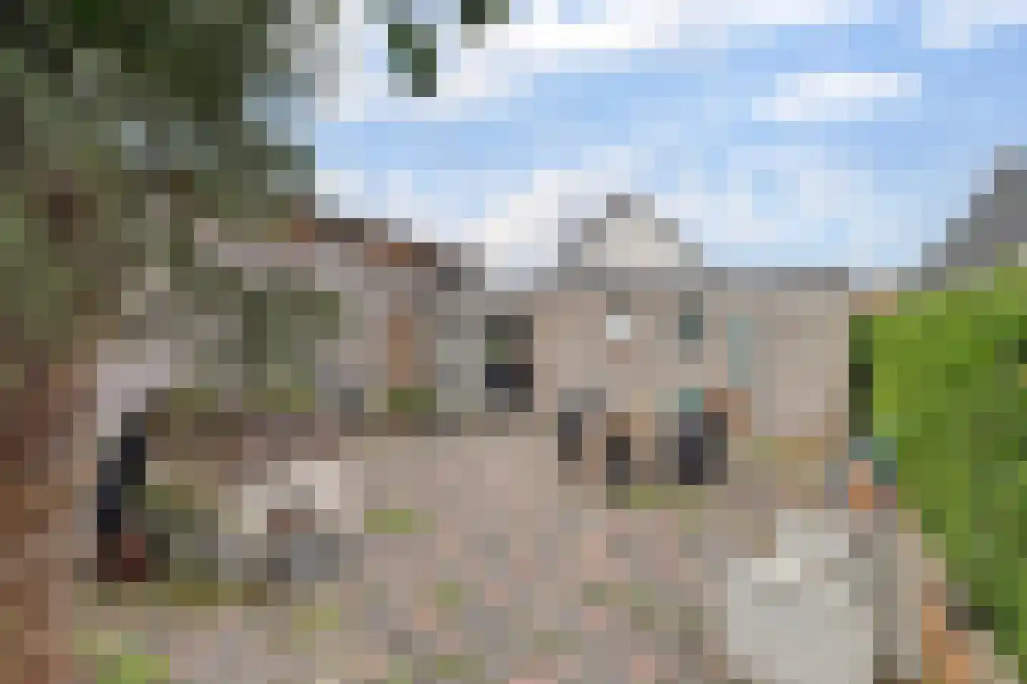 Provincialeweg 74 Kornhorn thumbnail 33
