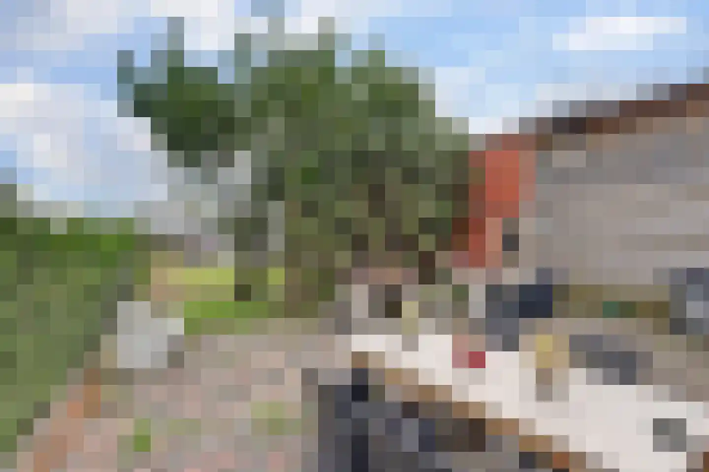 Provincialeweg 74 Kornhorn thumbnail 35