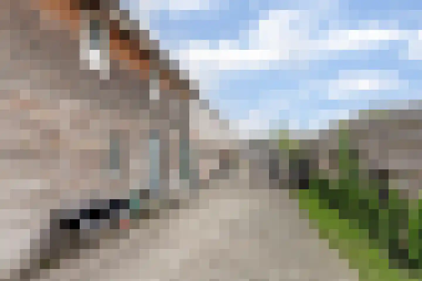 Provincialeweg 74 Kornhorn thumbnail 37