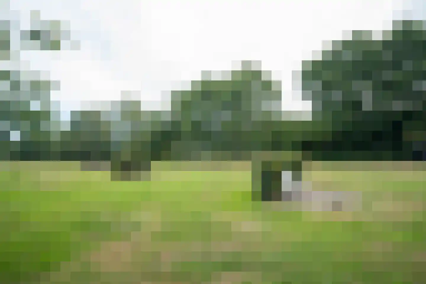 Provincialeweg 79 Opende thumbnail 86