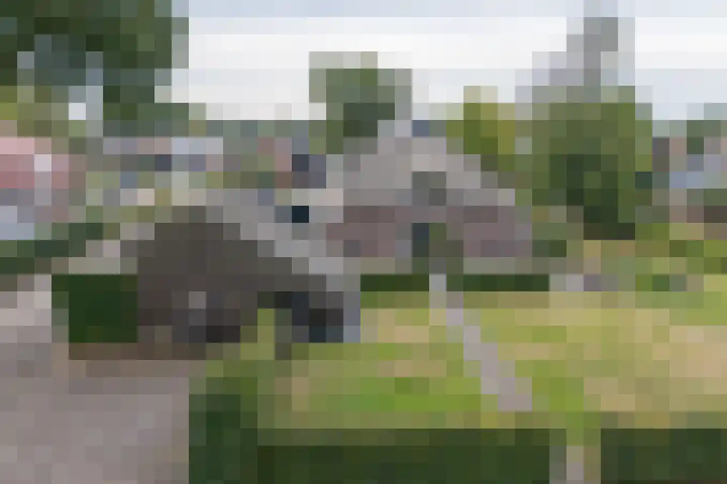Provincialeweg 79 Opende thumbnail 90