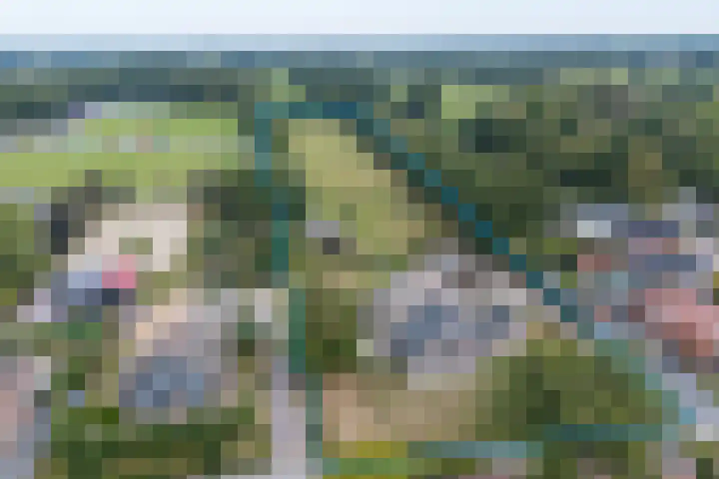 Provincialeweg 79 Opende thumbnail 95