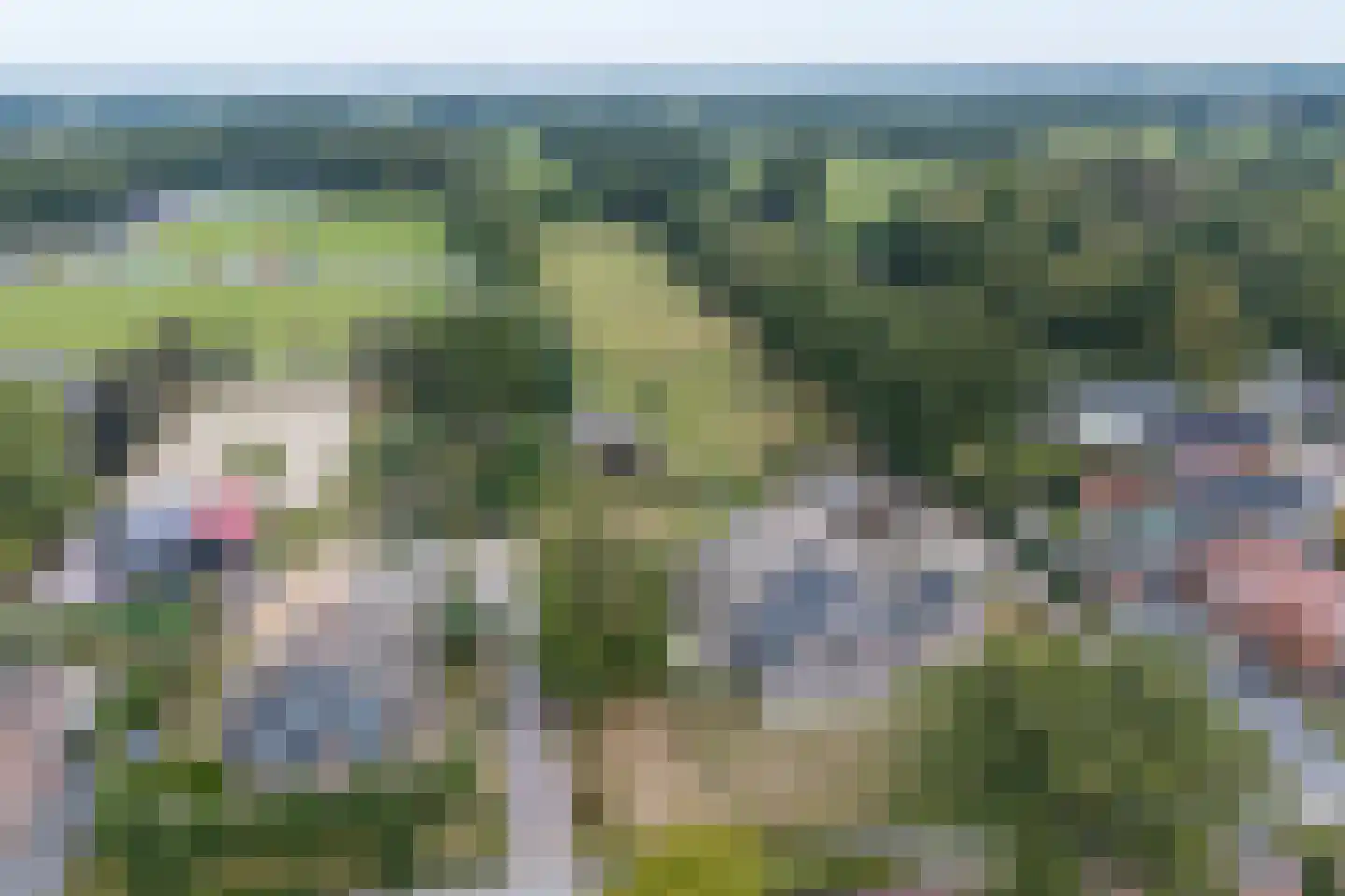 Provincialeweg 79 Opende thumbnail 96