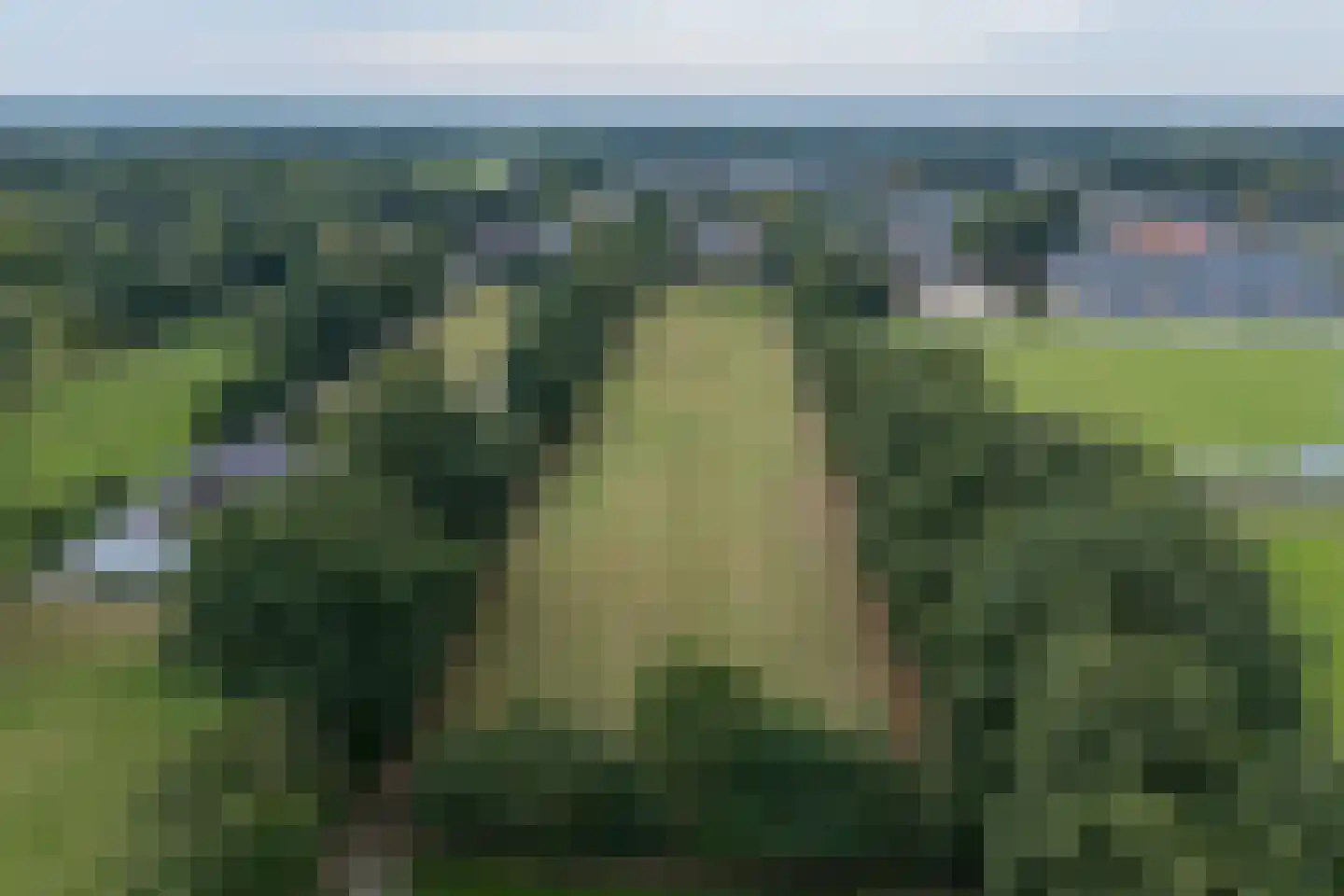 Provincialeweg 79 Opende thumbnail 97