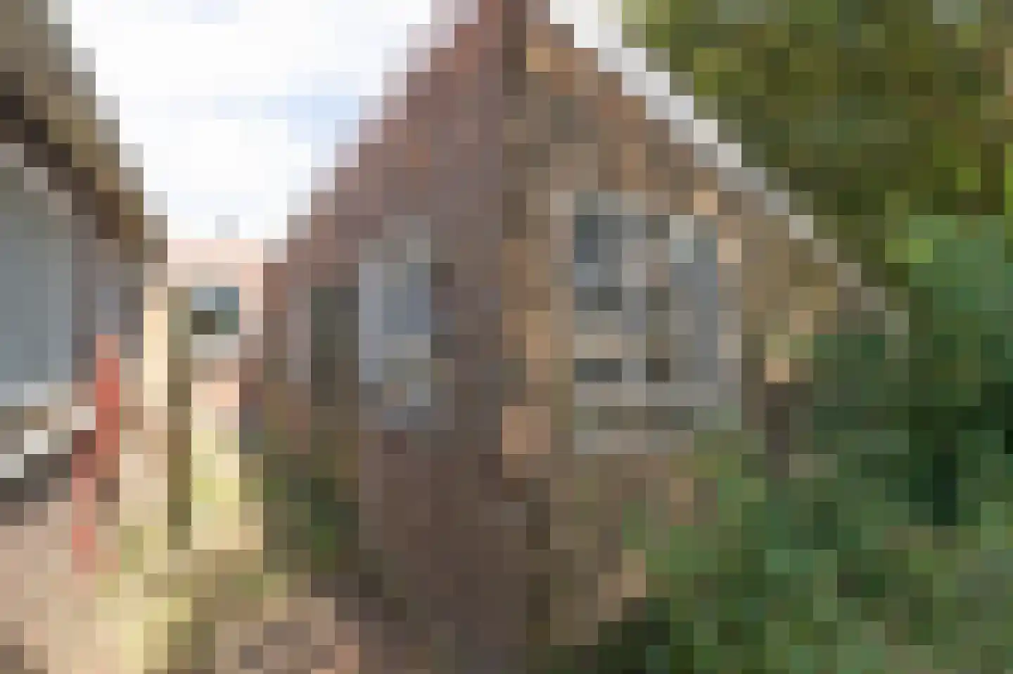 Provincialeweg 8 Kerkwerve thumbnail 21