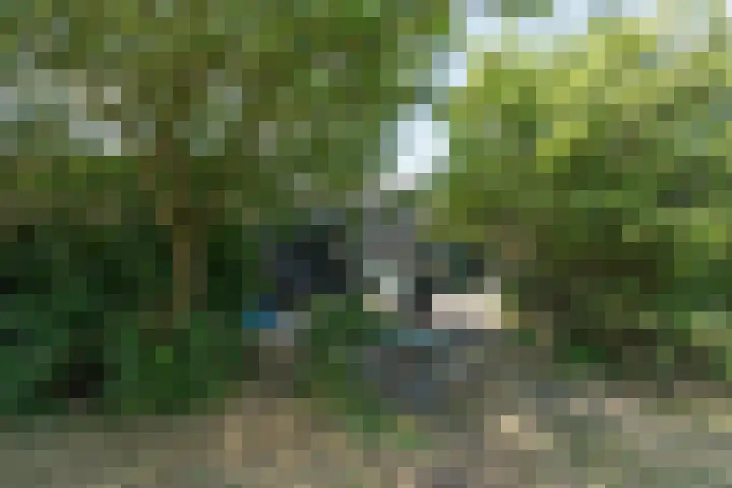 Provincialeweg 8 Kerkwerve thumbnail 22