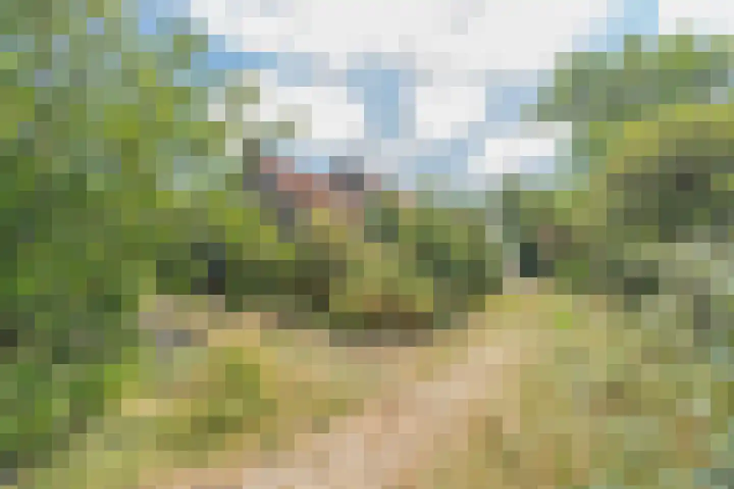 Provincialeweg 8 Kerkwerve thumbnail 33