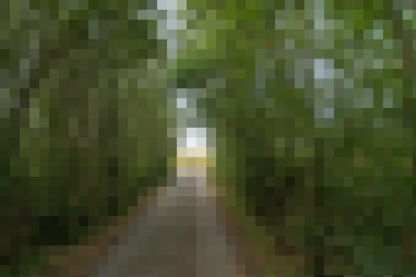 Provincialeweg 8 Kerkwerve thumbnail 35