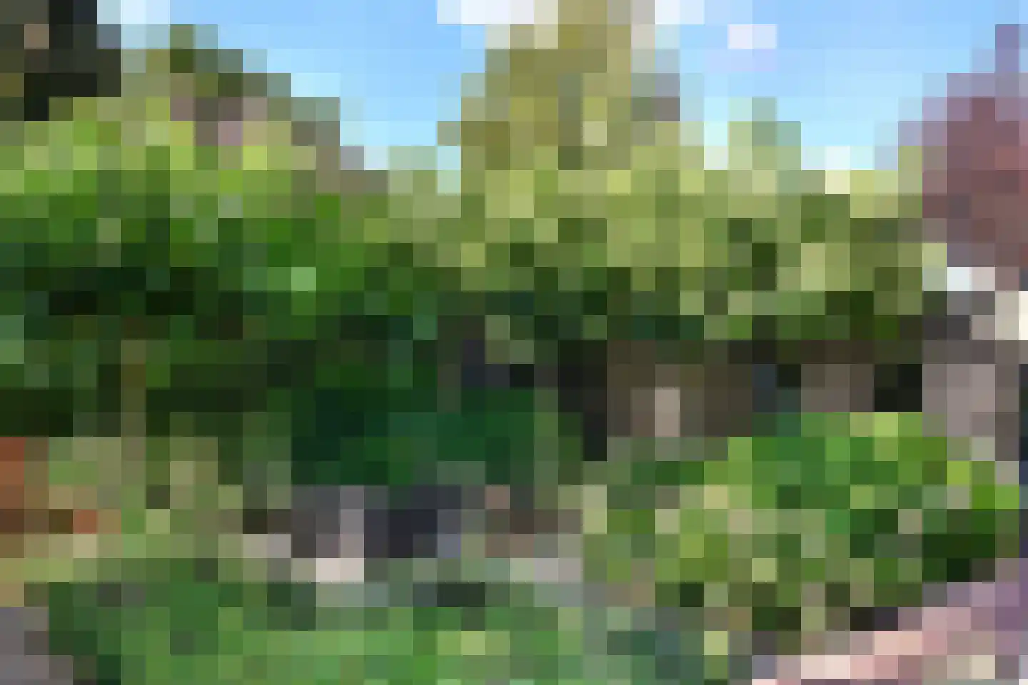 Provincialeweg Noord 1 Almkerk thumbnail 17