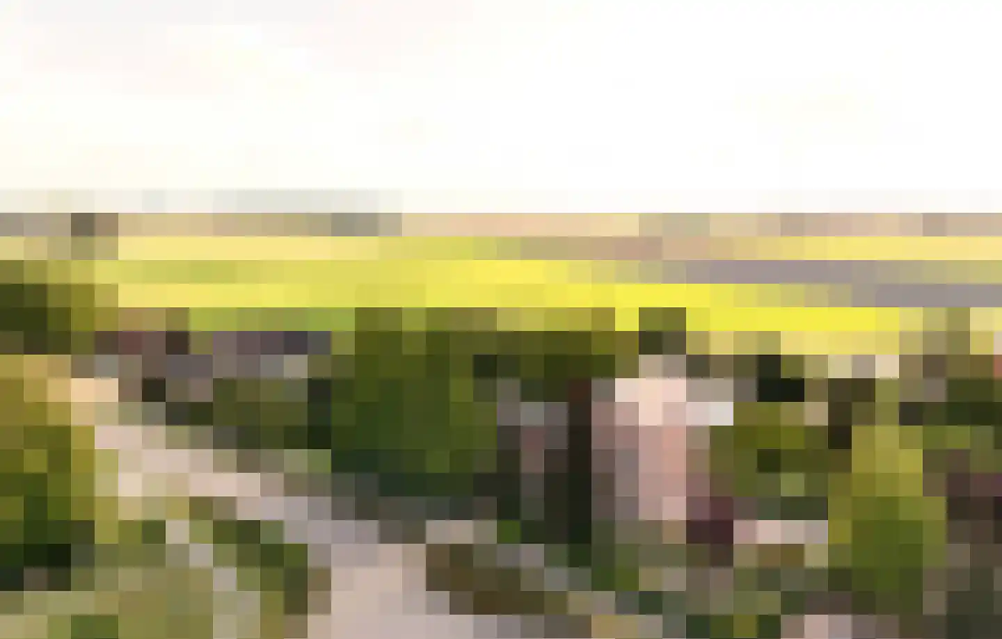 Provincialeweg Noord 1 Almkerk thumbnail 19