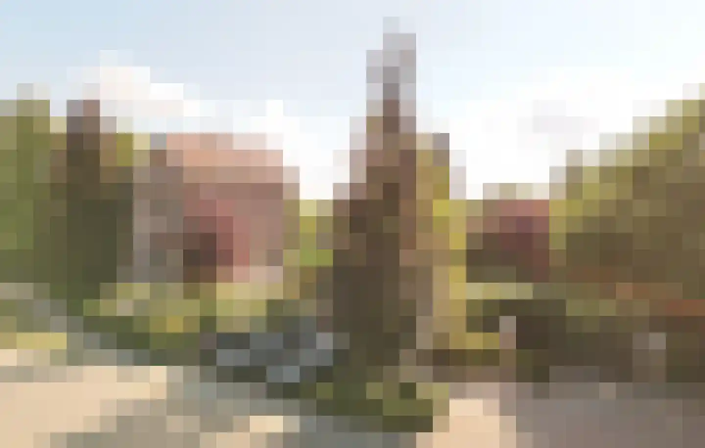 Provincialeweg Noord 1 Almkerk thumbnail 20