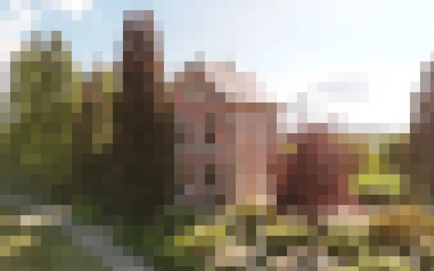 Provincialeweg Noord 1 Almkerk foto 3
