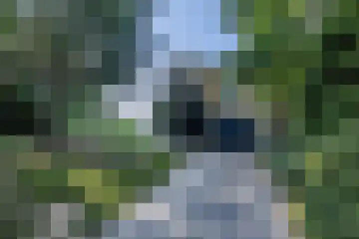 Provincialeweg Noord 10 Oirsbeek thumbnail 4