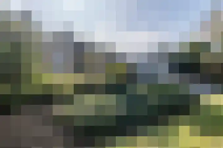 Provincialeweg Noord 10 Oirsbeek thumbnail 40