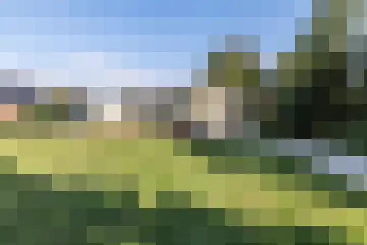 Provincialeweg Noord 10 Oirsbeek thumbnail 45