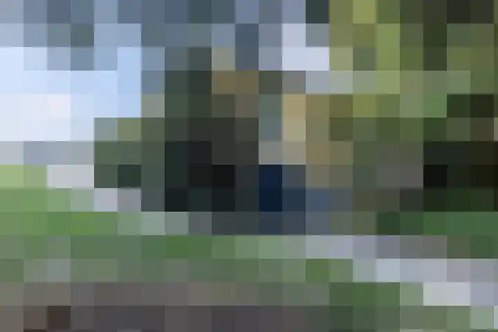 Provincialeweg Noord 10 Oirsbeek thumbnail 55
