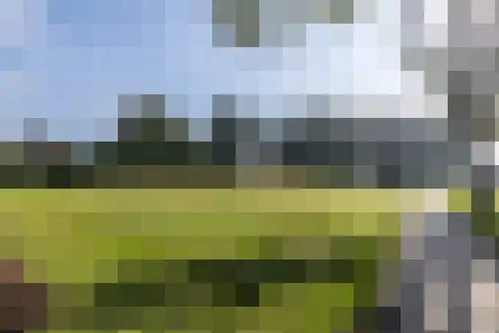 Provincialeweg Noord 10 Oirsbeek thumbnail 56