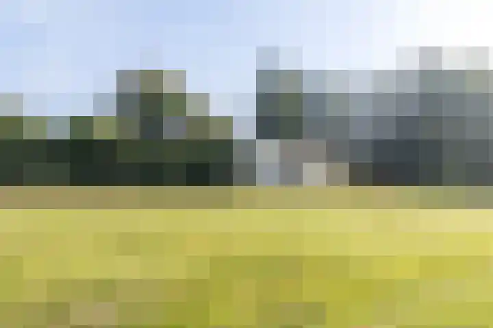 Provincialeweg Noord 10 Oirsbeek thumbnail 57