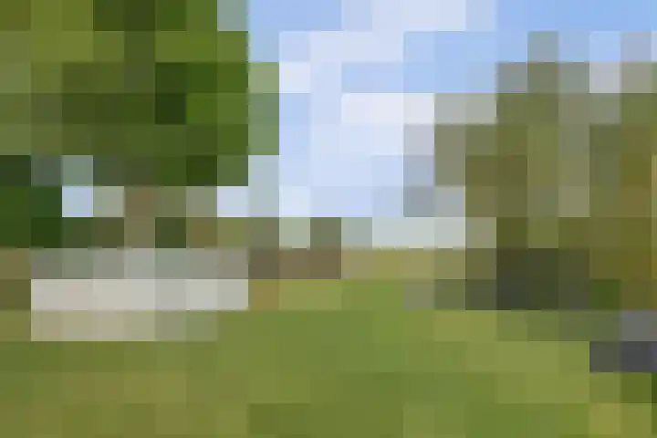 Provincialeweg Noord 126 Almkerk thumbnail 40