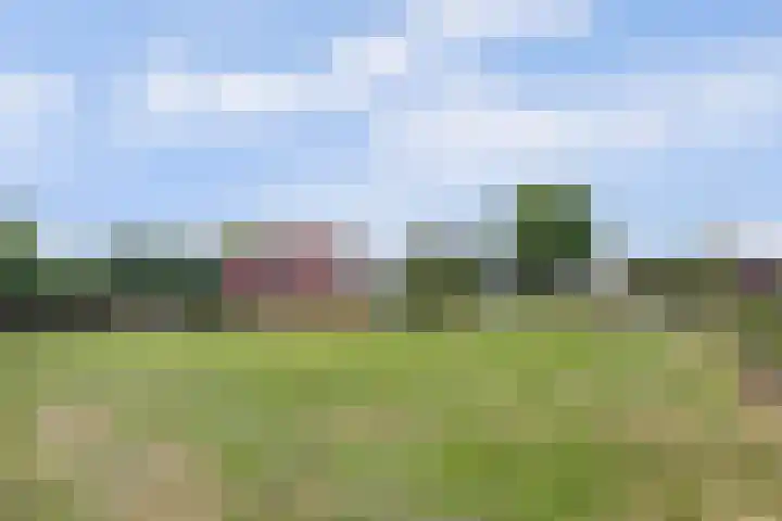 Provincialeweg Noord 126 Almkerk thumbnail 41